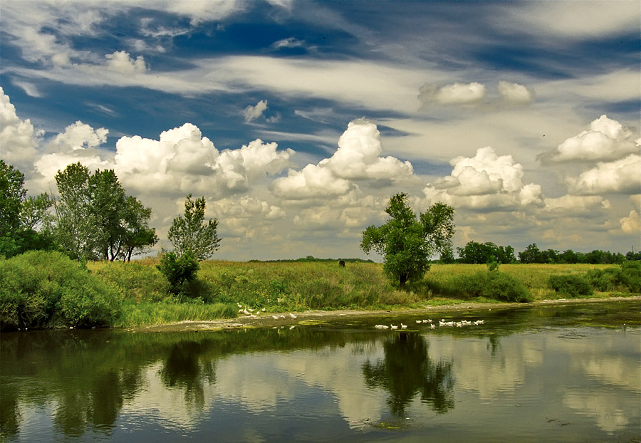 Фотографія Сельские зарисовки / Fomishen Aleksandr / photographers.ua