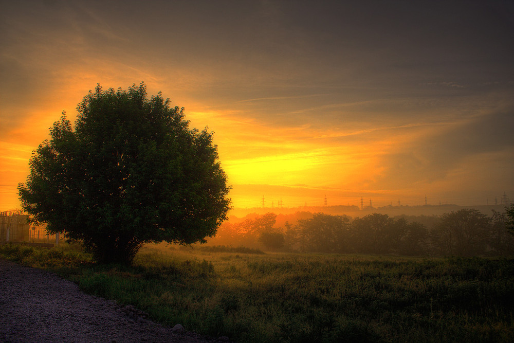 Фотографія Пейзаж / Fomishen Aleksandr / photographers.ua