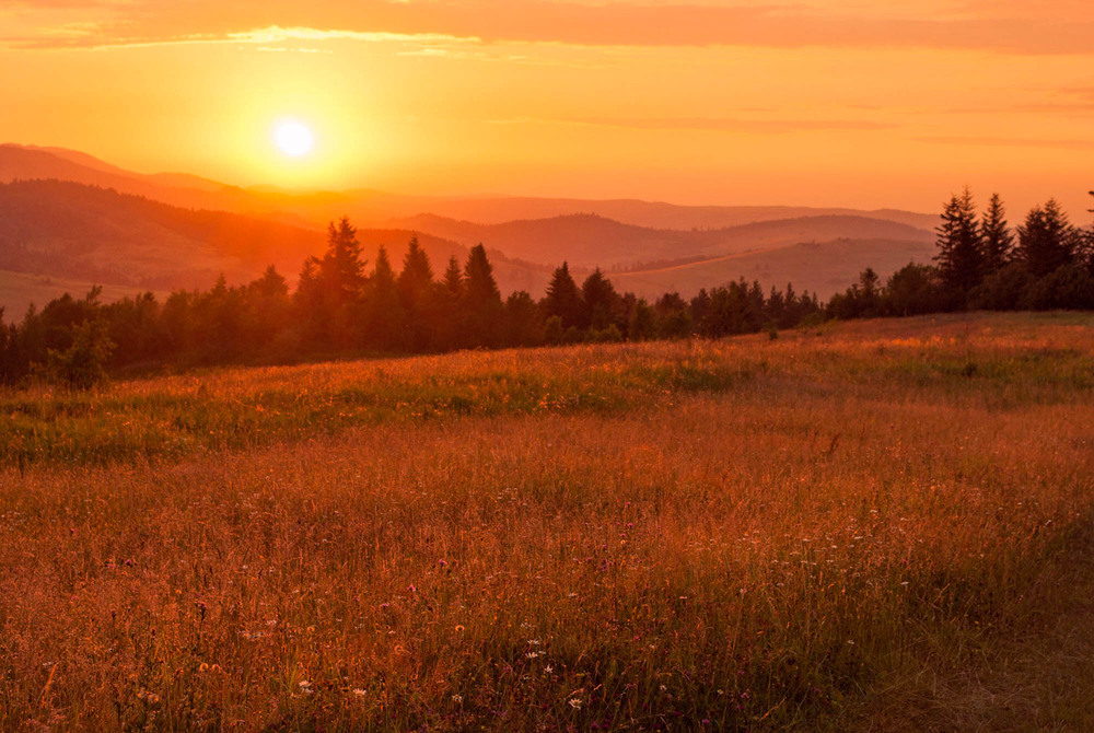 Фотографія Теплий захід / Andriy Senkiv / photographers.ua