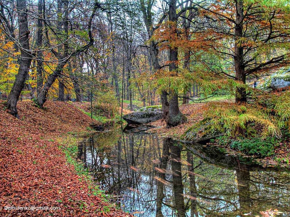 Фотографія Осень, тишина, только листья плывут по воде / Михаил Демиденко / photographers.ua
