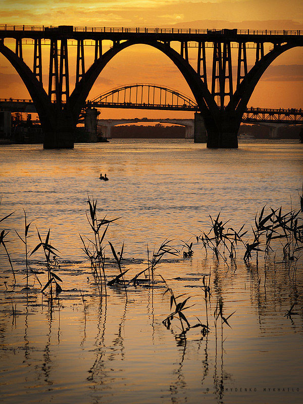 Фотографія Две утки и три моста / Михаил Демиденко / photographers.ua
