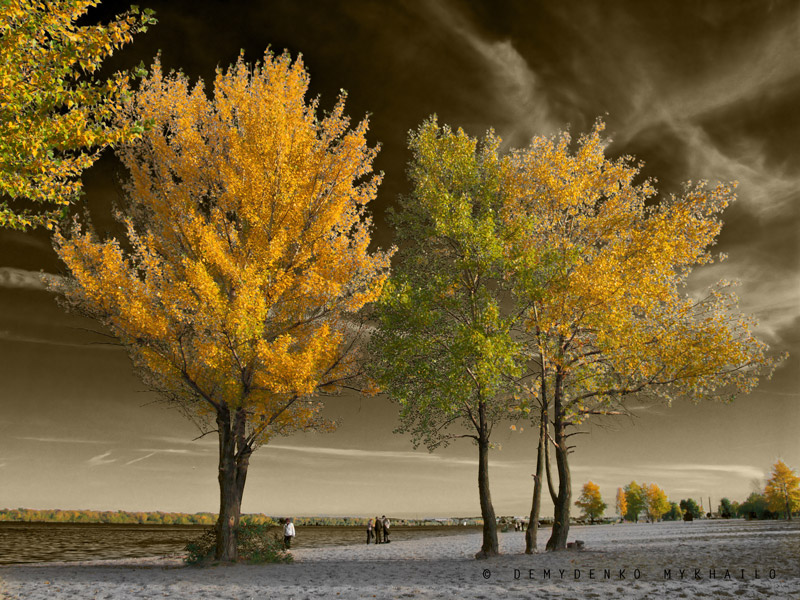 Фотографія Осень приближается / Михаил Демиденко / photographers.ua
