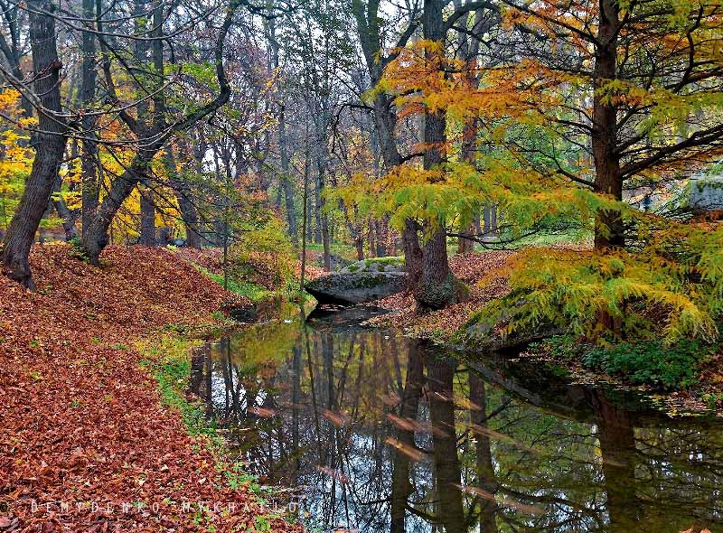 Фотографія Осень,листья плывут по воде / Михаил Демиденко / photographers.ua