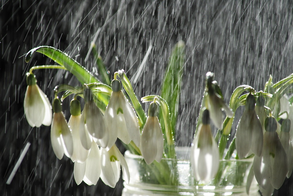 Фотографія Весна на душе !!! / Владислав Вигуржинский / photographers.ua