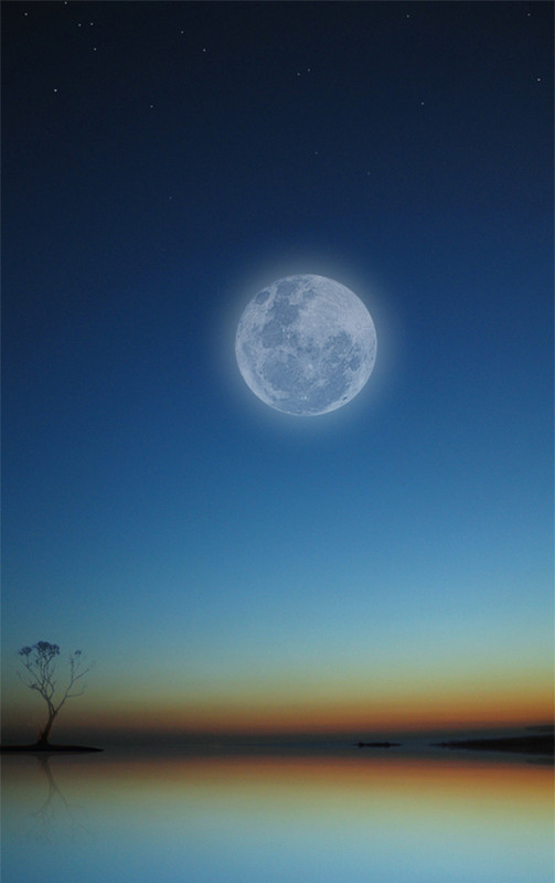 Фотографія Місячна самотність / Тарас Falk / photographers.ua