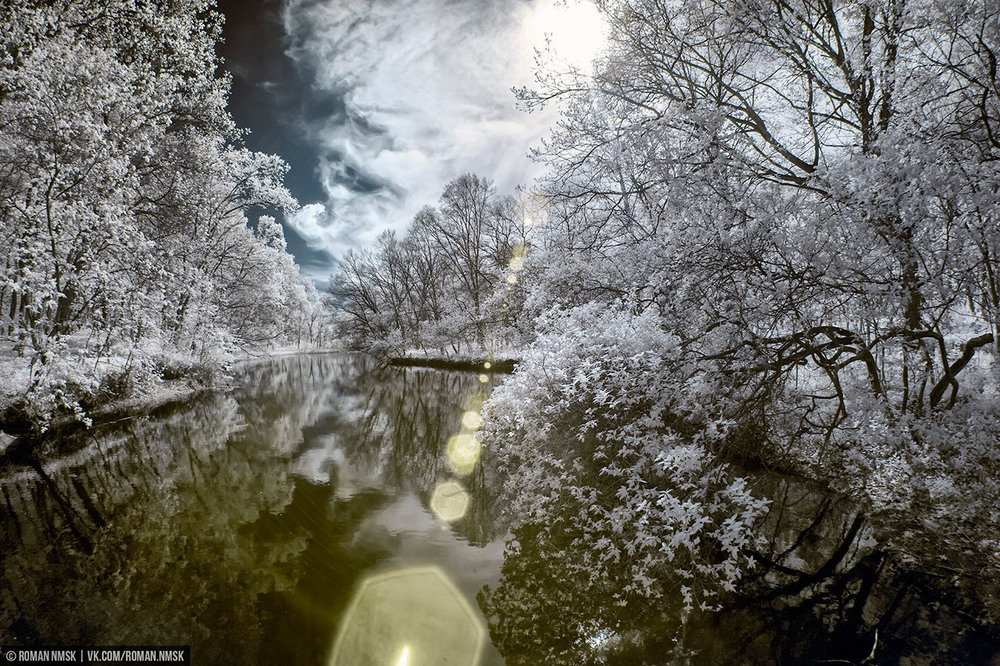 Фотографія Весенний лес (infrared) / Roman.NMSK / photographers.ua