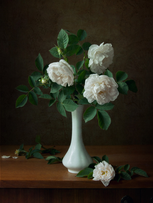 Фотографія Белые розы / Zoya Soroka / photographers.ua