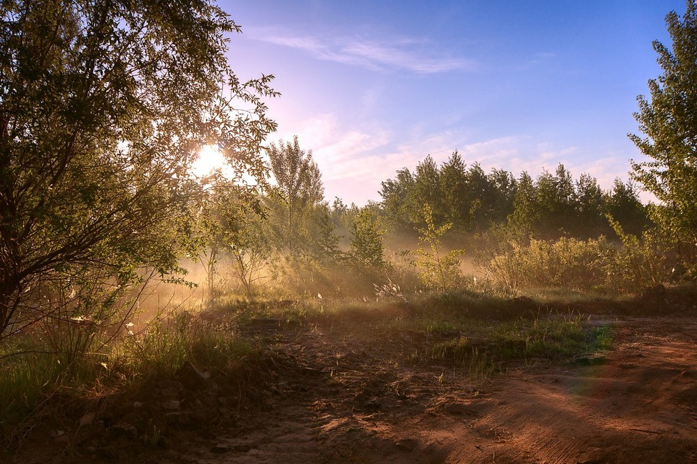 Фотографія Пейзаж / Anton White / photographers.ua