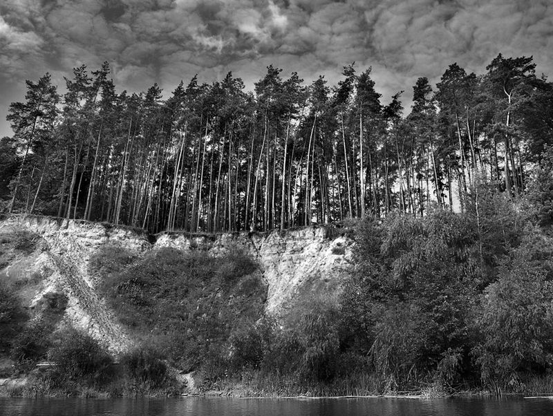 Фотографія Устремлённые в небо / Sullen Угрюмый / photographers.ua