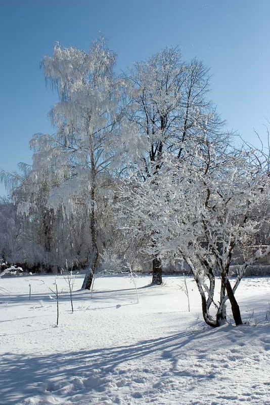 Фотографія Зима №2 / Александр Куликовский / photographers.ua