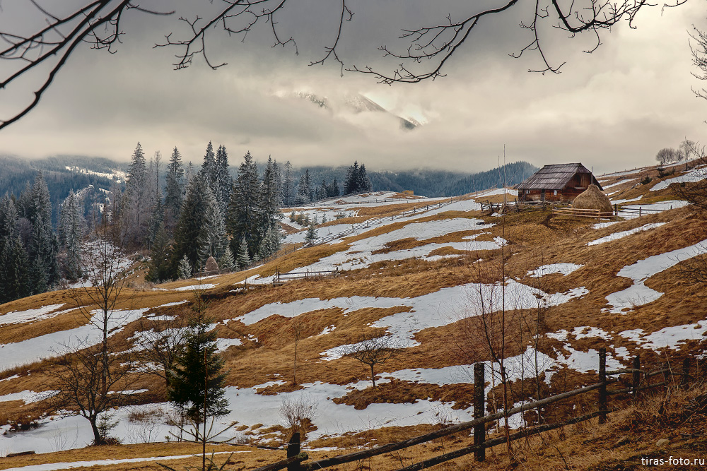 Фотографія Карпаты / Алёна Петренко / photographers.ua