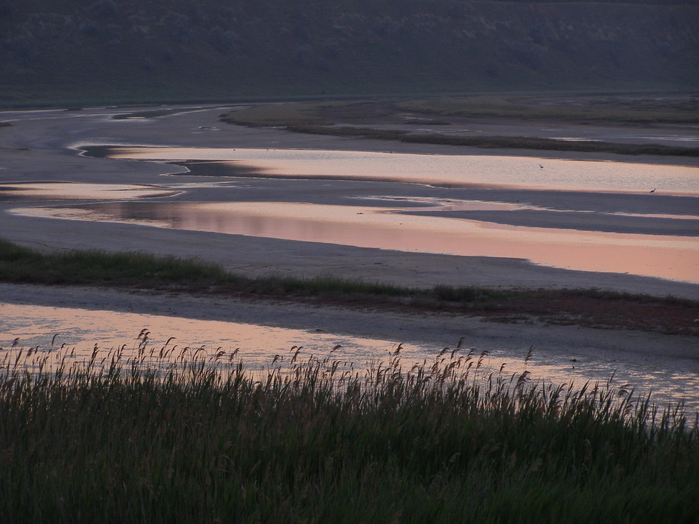 Фотографія Вечерний лиман / Елена Elena / photographers.ua