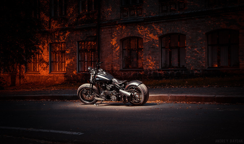 Фотографія WGC Harley Davidson Cross Bones / andrbk / photographers.ua