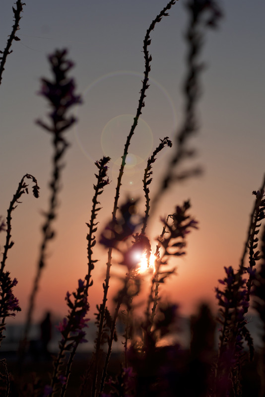 Фотографія Рассвет / Levenets Nataly / photographers.ua