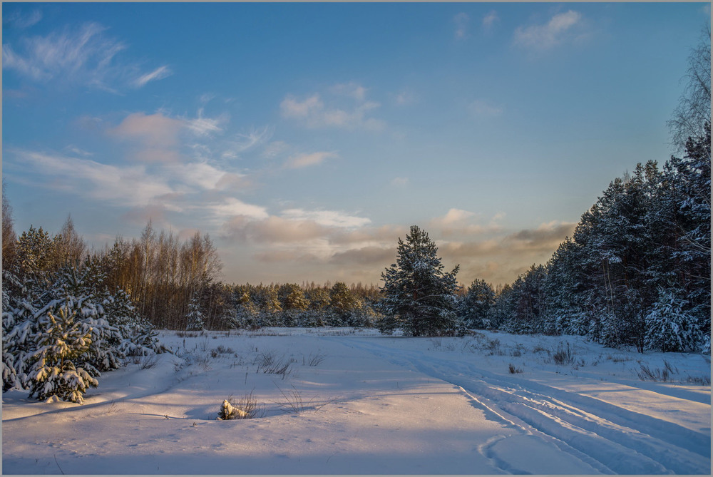 Фотографія Зимний лес... / Анатолий / photographers.ua