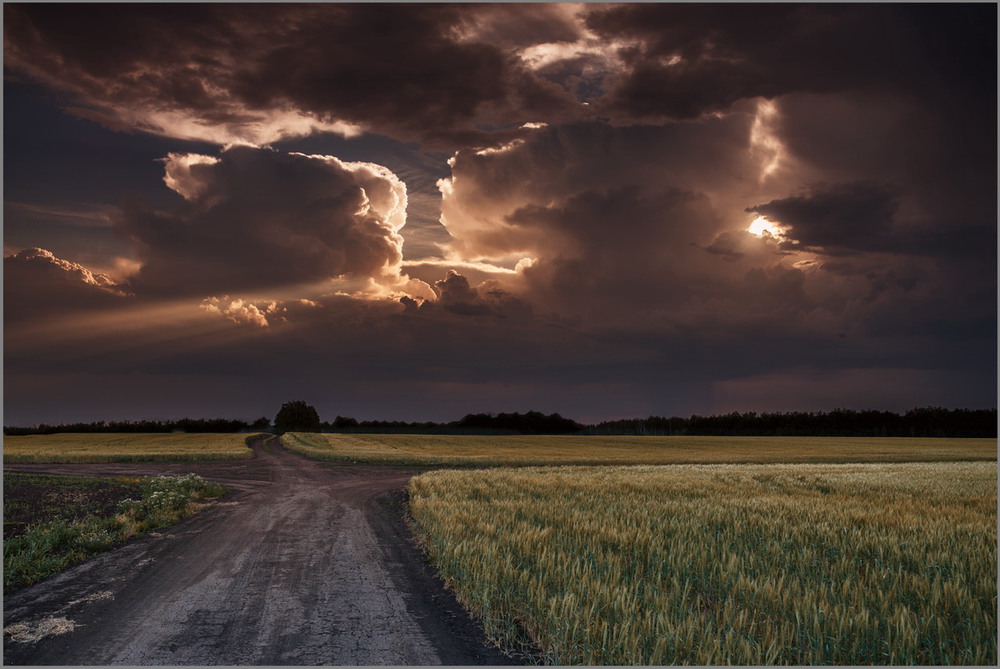 Фотографія Summer ... / Анатолий / photographers.ua