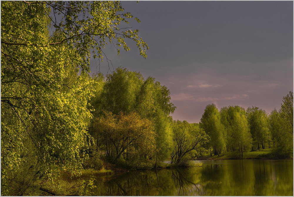 Фотографія *** / Анатолий / photographers.ua