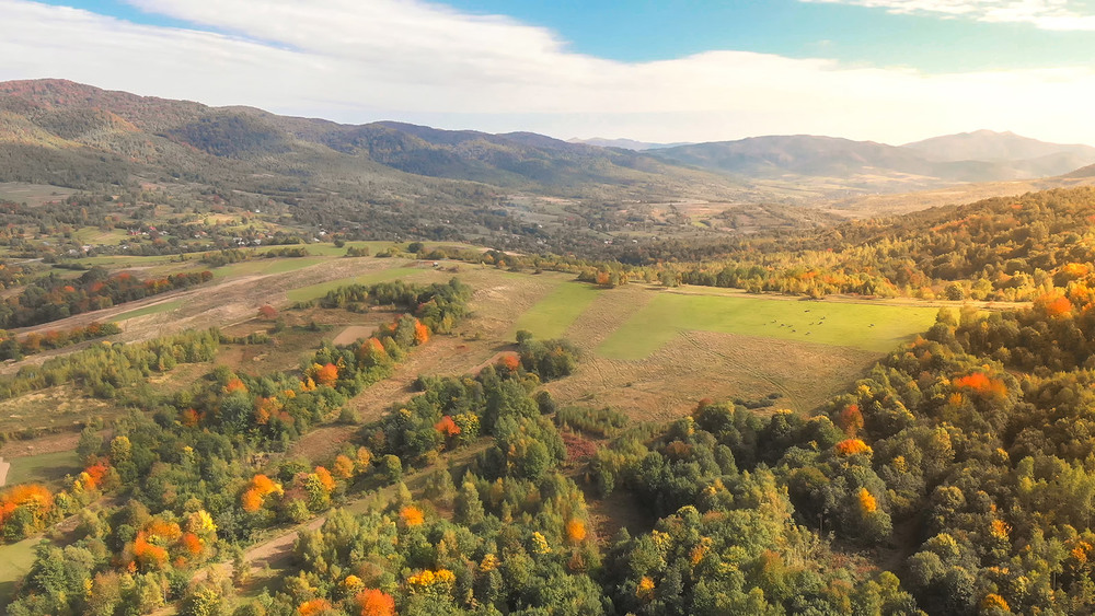 Фотографія Golden autumn in the Carpathians / Олександр Горбач / photographers.ua