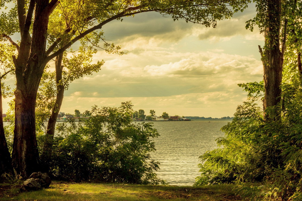 Фотографія Берег Днепра. / Биленко Сергей / photographers.ua