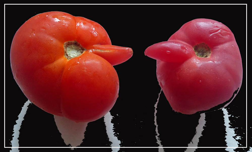 Фотографія Встретились как-то два помидора... / Игорь Говорин / photographers.ua