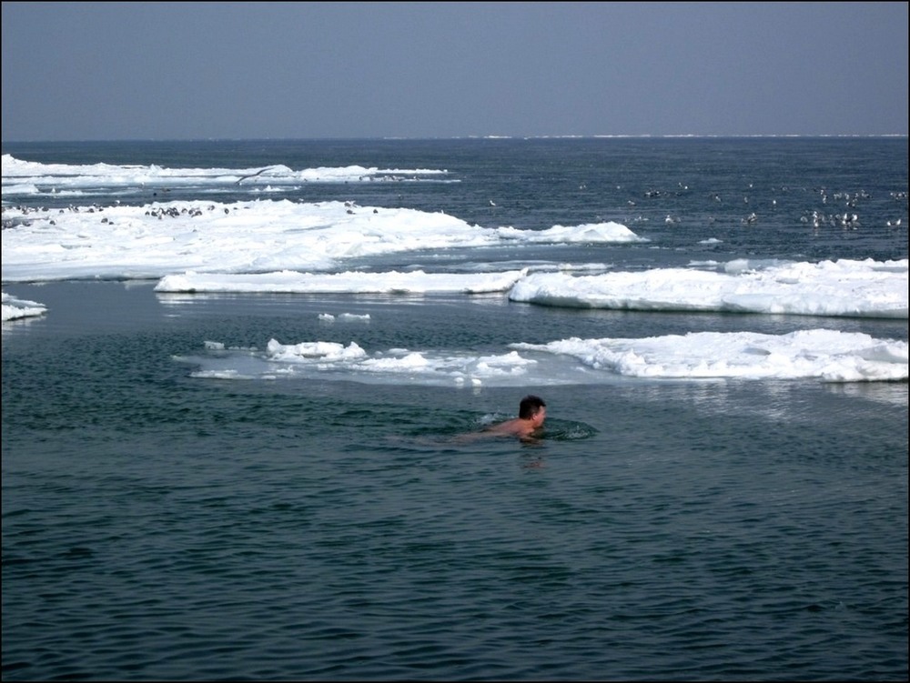Фотографія А на Южном полюсе сейчас лето... / Игорь Говорин / photographers.ua