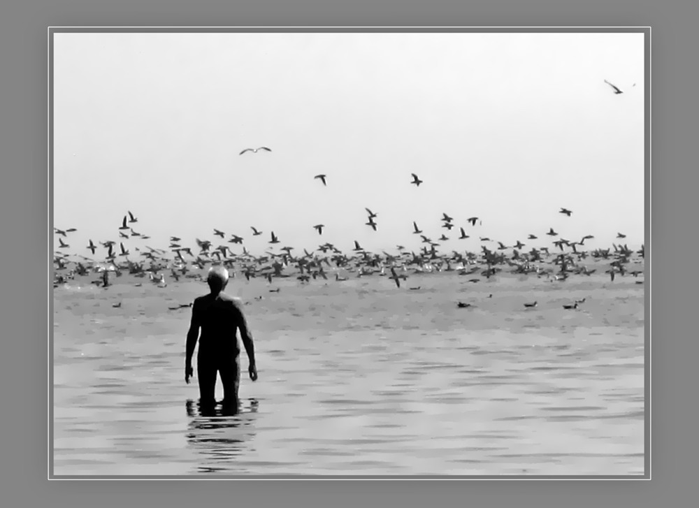 Фотографія Лето, море, чайки. / Игорь Говорин / photographers.ua