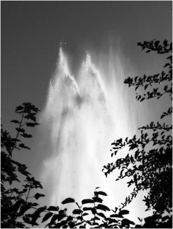 Фотографія Image 2. Spirits of fontaine. / Игорь Говорин / photographers.ua