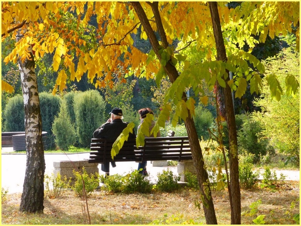 Фотографія Осень пришла в парк. / Игорь Говорин / photographers.ua