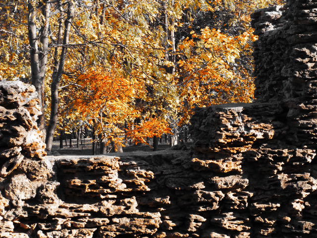 Фотографія Осень пришла в старый парк / Игорь Говорин / photographers.ua