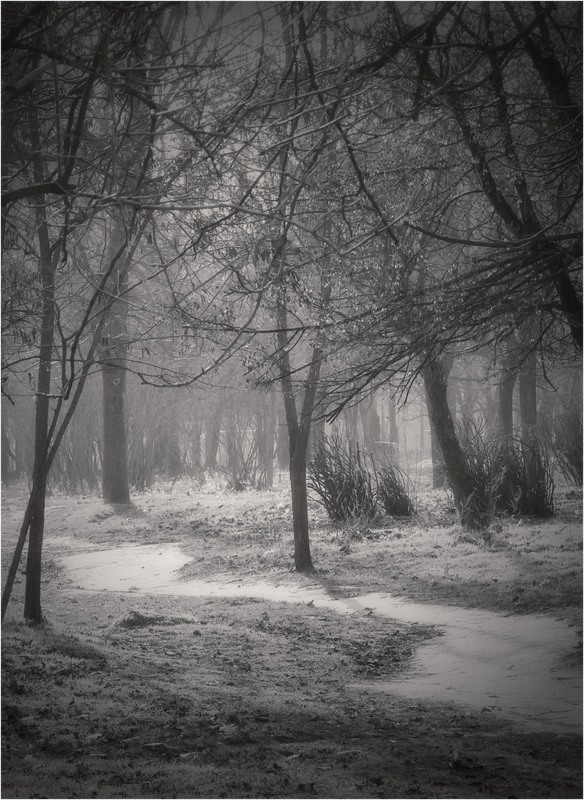 Фотографія В моём парке туман. / Игорь Говорин / photographers.ua