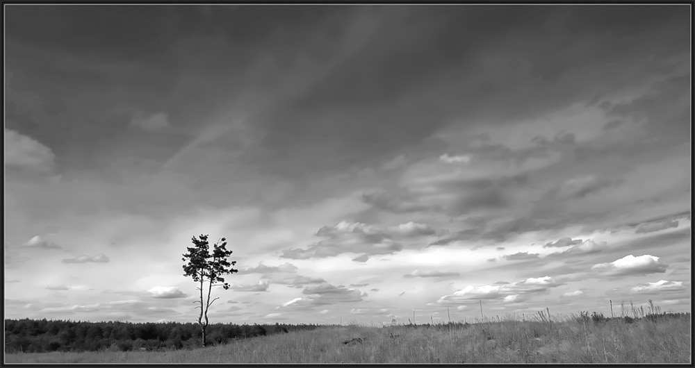 Фотографія Пейзаж / Wladlen / photographers.ua