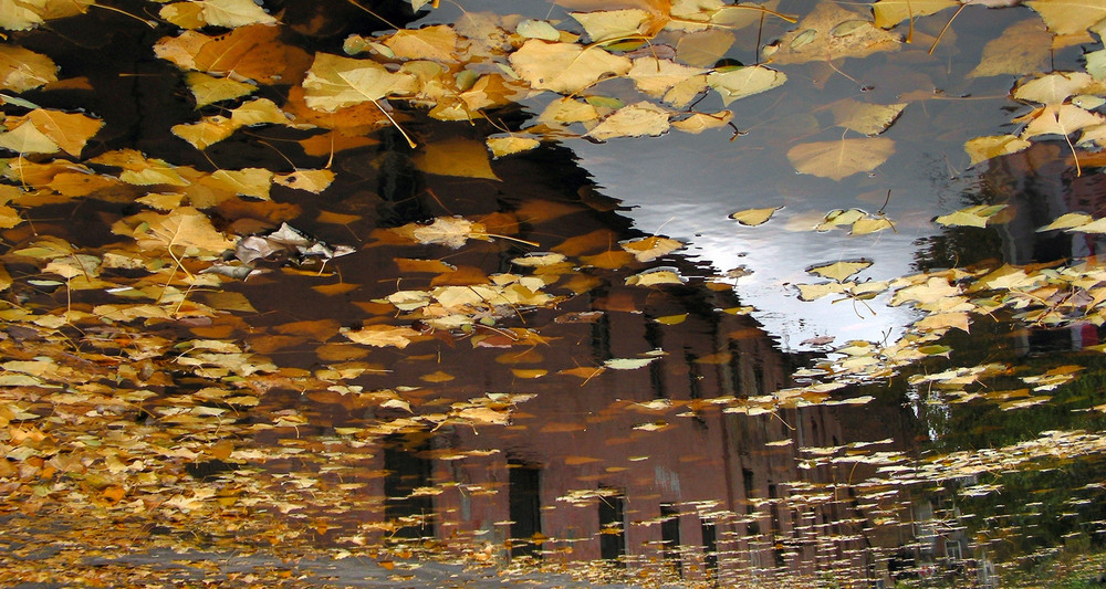 Фотографія Акварели. Листопад / Wladlen / photographers.ua