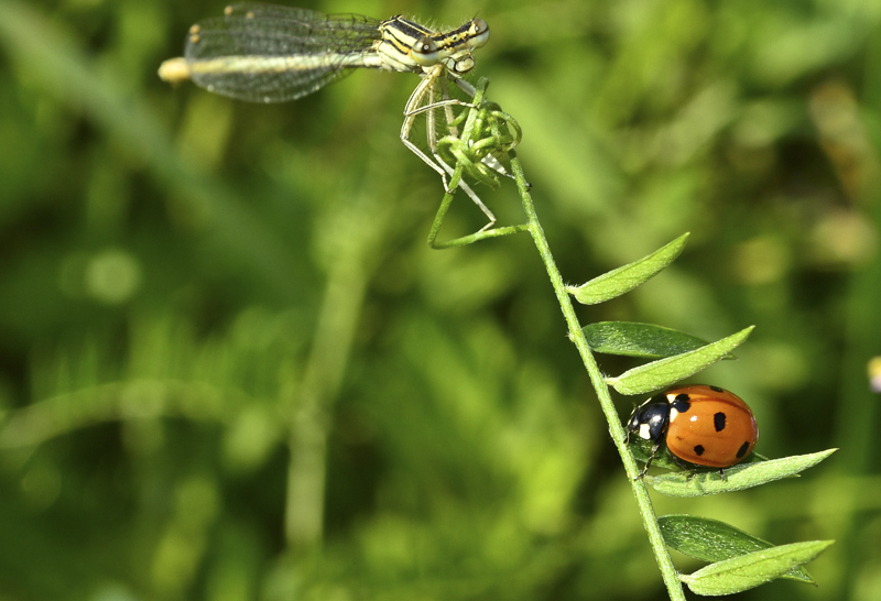 Фотографія Ей Вы там на верху! / Ярослав Федуна / photographers.ua