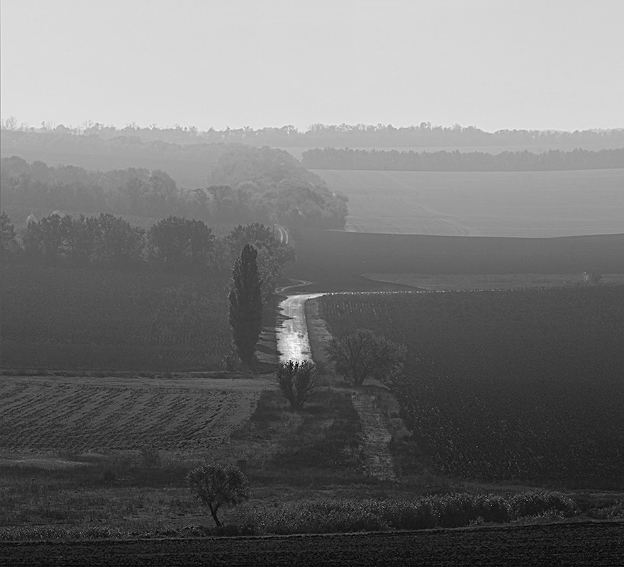 Фотографія *** / Сергей Шалыгин / photographers.ua