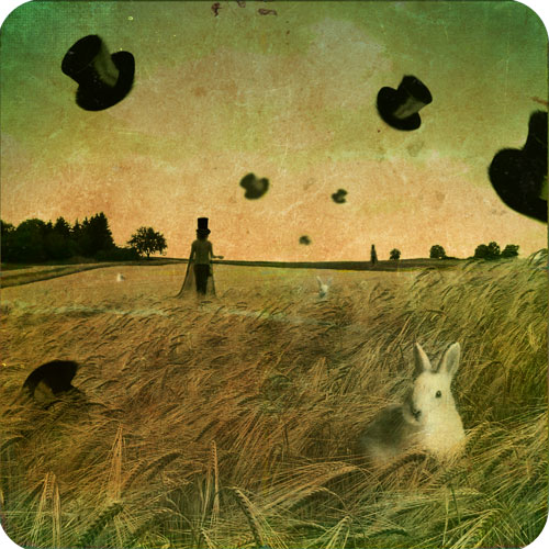 Фотографія алиса и ее кроли / саша орлова / photographers.ua