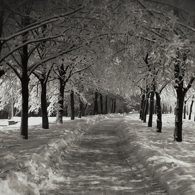 Фотографія Зима... / iFoto / photographers.ua