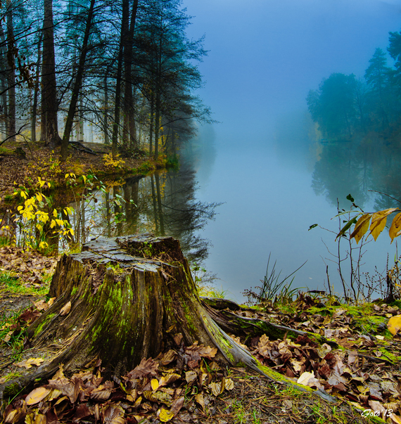 Фотографія Вечер... / iFoto / photographers.ua