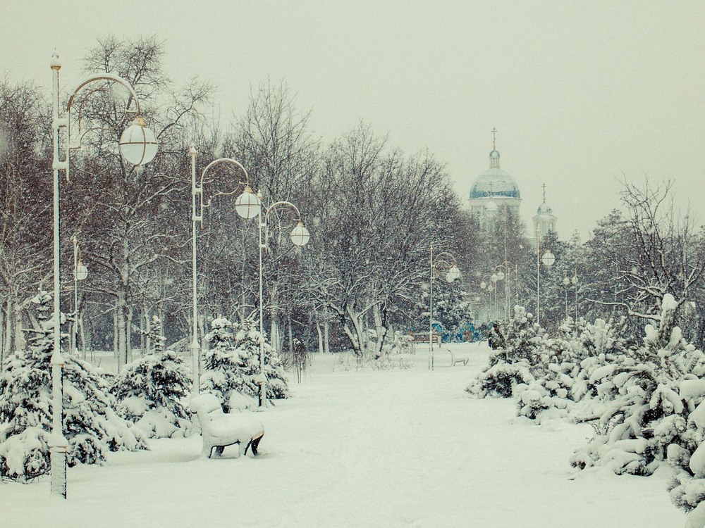 Фотографія Зимова елегія / Alexander Lekhter / photographers.ua