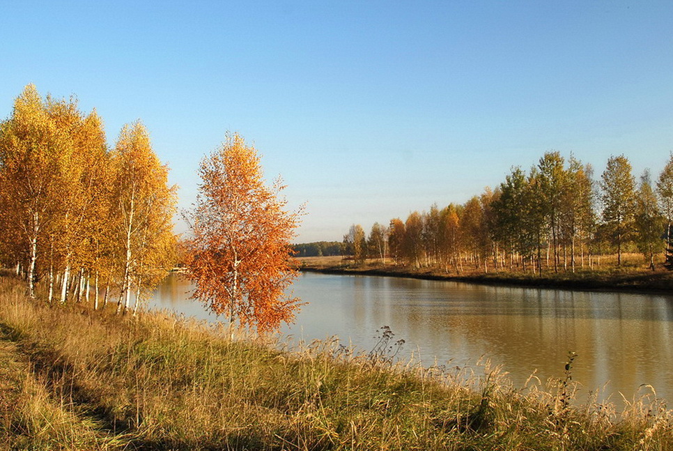 Фотографія Осенний пейзаж / Ігор К* / photographers.ua