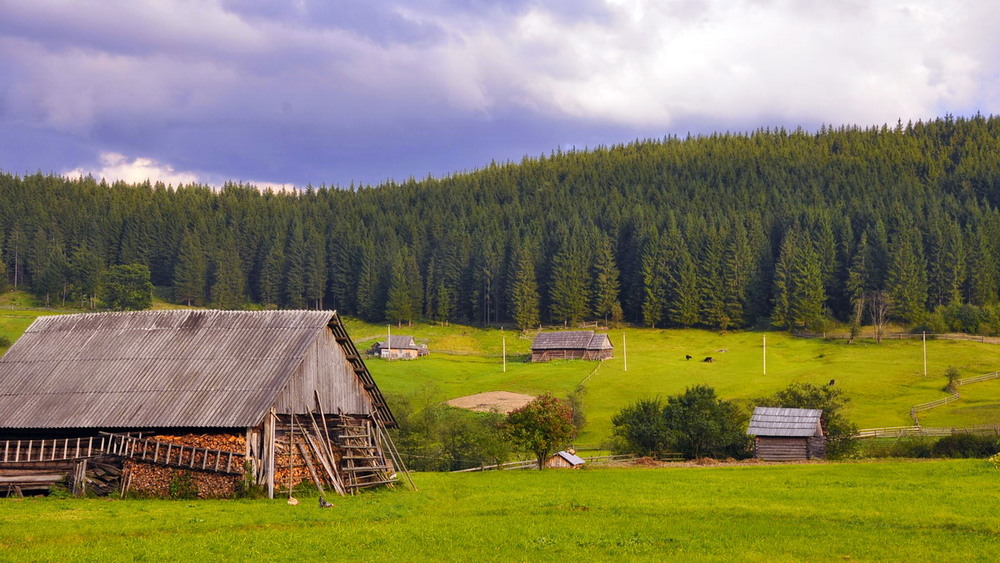 Фотографія Климпуші / Ігор К* / photographers.ua