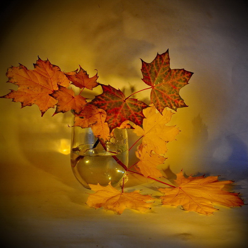 Фотографія Таких фарб немає літом і зимою, недаремно осінь зветься золотою... / Ігор К* / photographers.ua