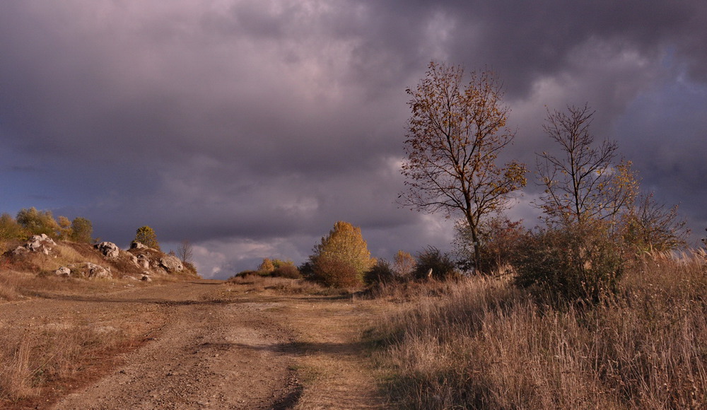 Фотографія Зашуміло, потемніло, хмара чорна налетіла... / Ігор К* / photographers.ua