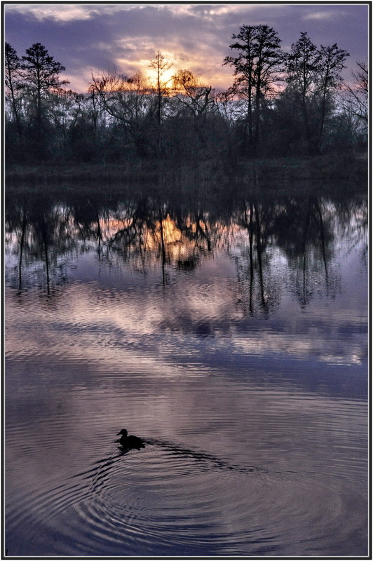 Фотографія Вечереет. И на озеро садятся утки... / Ігор К* / photographers.ua