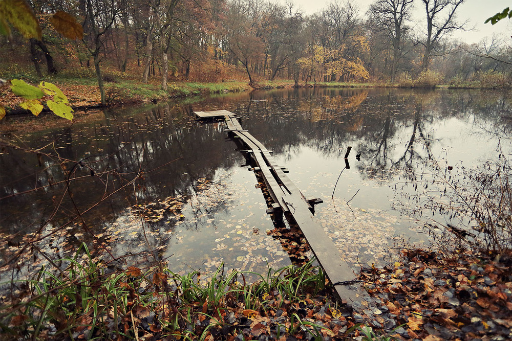 Фотографія Мой старый пруд, хранитель сотен тайн... / Владимир Чмут / photographers.ua