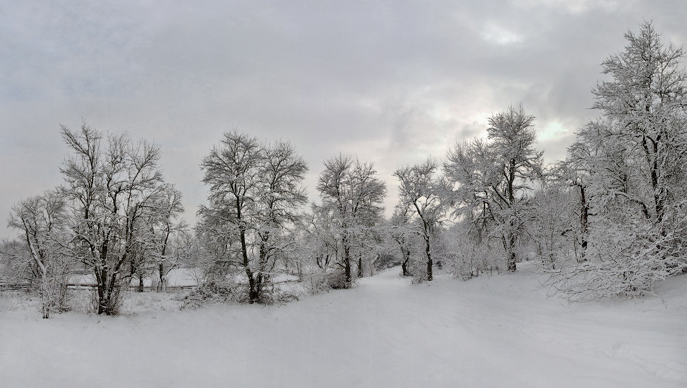 Фотографія зима / Марина(k) / photographers.ua