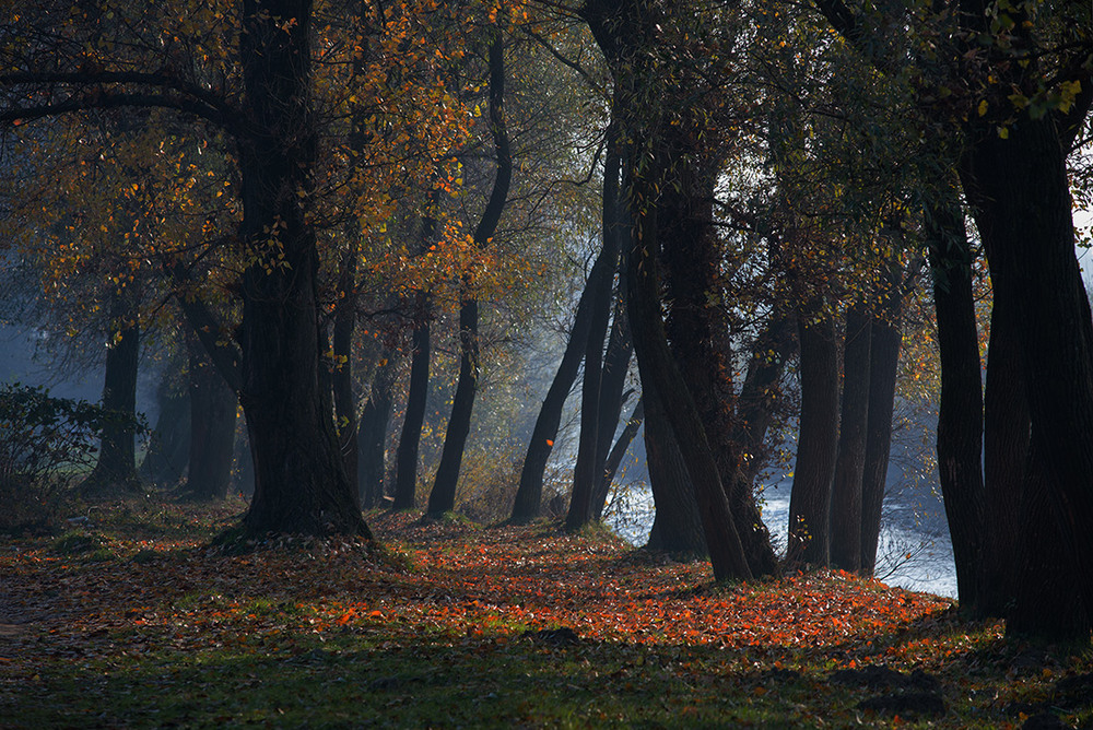 Фотографія Пейзаж / Леонід Закревський / photographers.ua