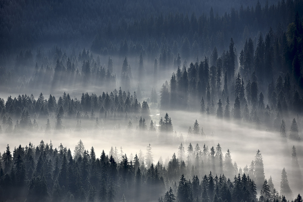 Фотографія Туманні ріки / Леонід Закревський / photographers.ua