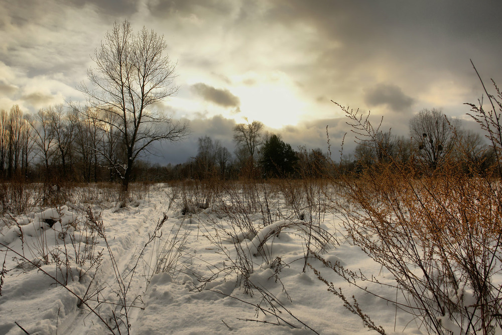 Фотографія Пейзаж / Олексій Стеценко / photographers.ua