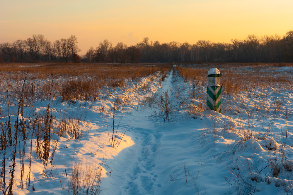 Фотографія Wonderful winter day / Олексій Стеценко / photographers.ua