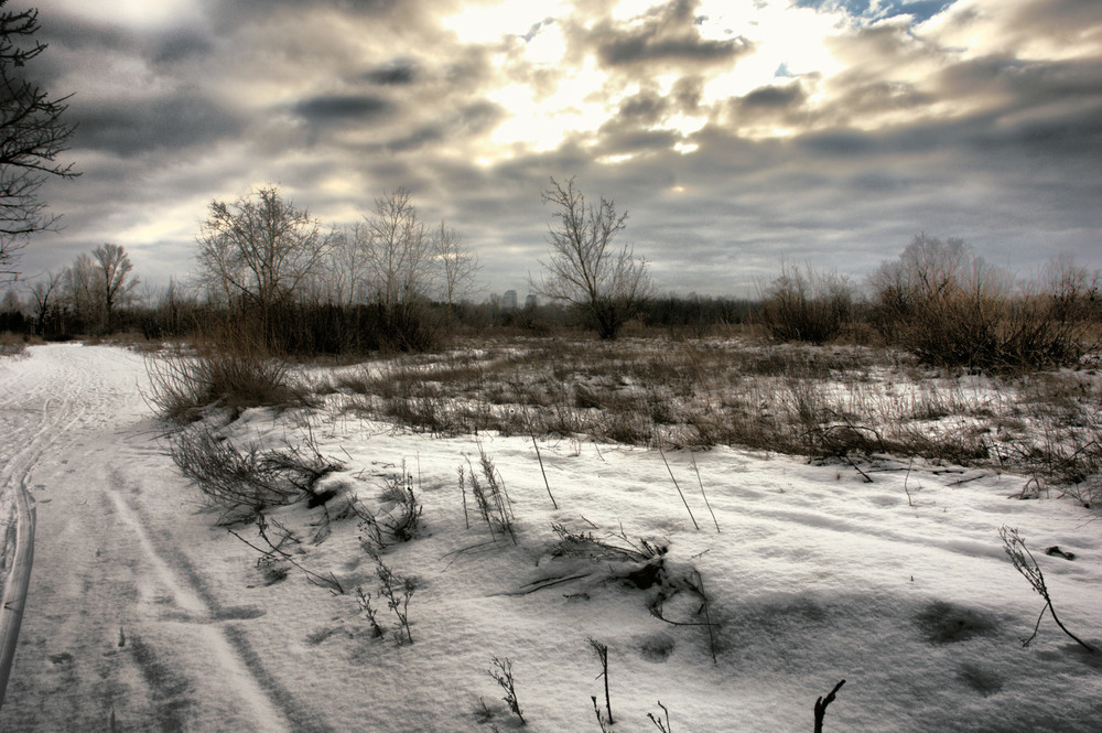 Фотографія Просто зима. / Олексій Стеценко / photographers.ua